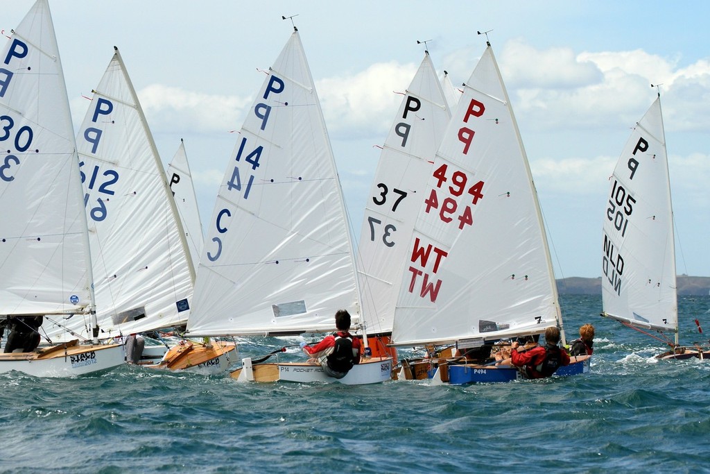 Final Race, 2012 Stack P class Tauranga Cup, Murray’s Bay © Richard Gladwell www.photosport.co.nz